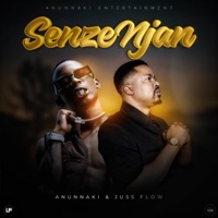 Senze Njan (feat. Flow-Kid SA) - Single - Mos Tee Anunnaki