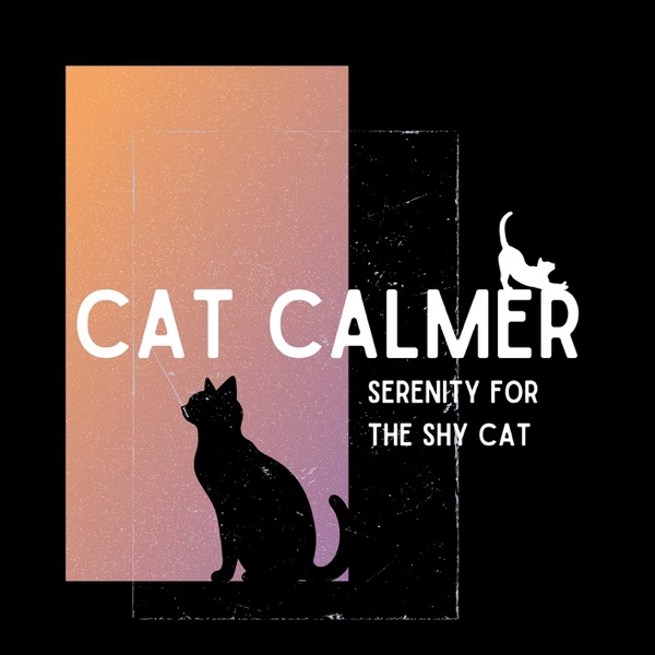 Serenity for the Shy Cat: Helping Your Kitty Relax