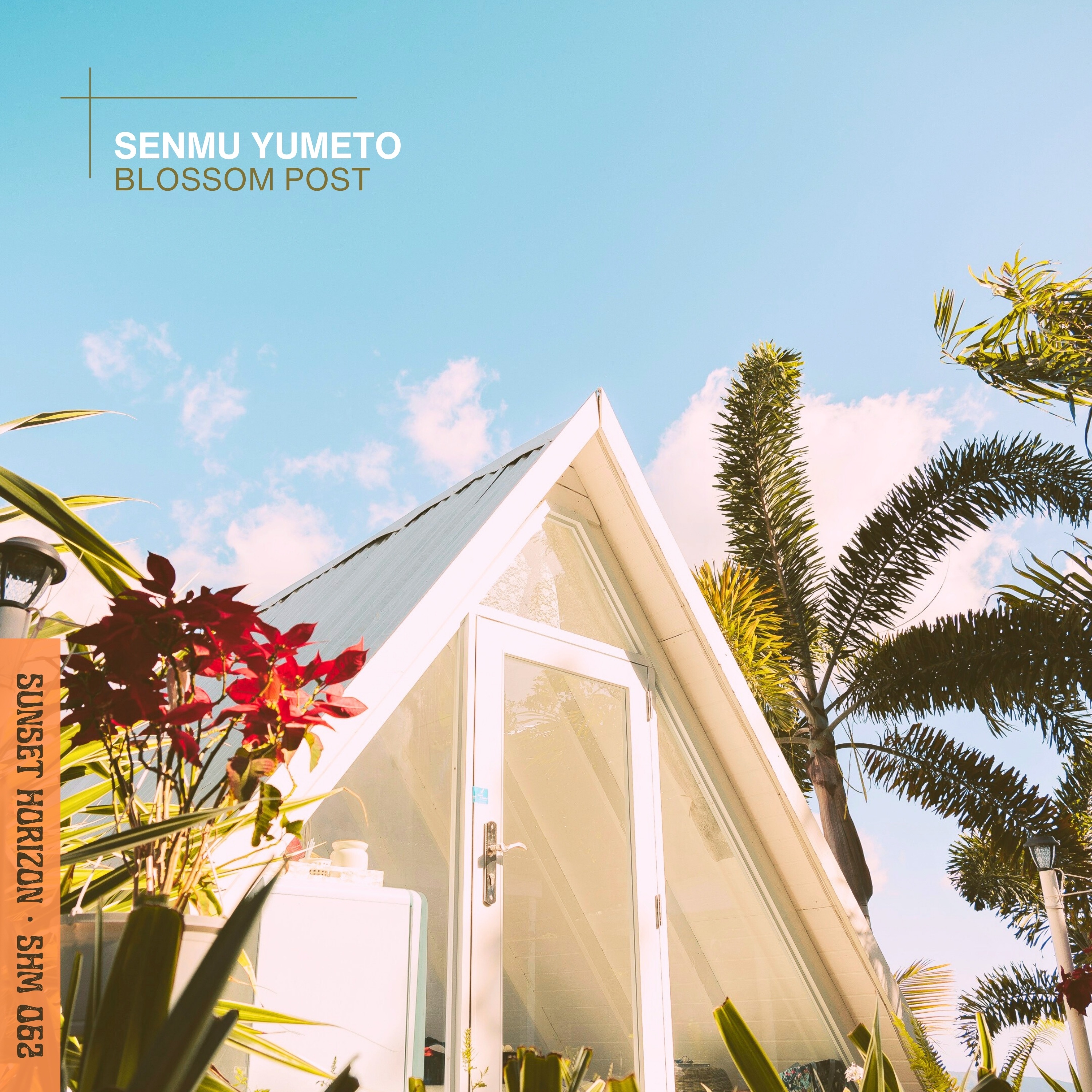 Blossom Post - Single