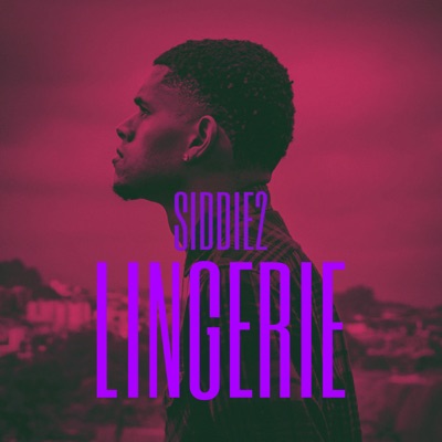 Lingerie (feat. Violin Xavi) - Single