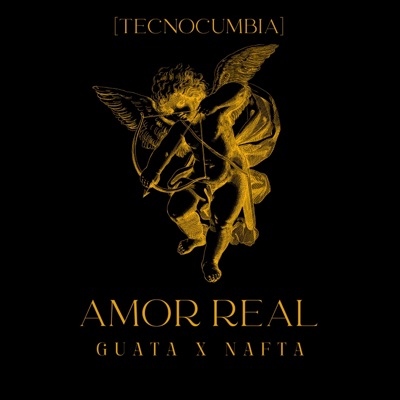 Amor real Tecnocumbia (feat. Nafta) - Single