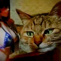 no? no. - Single - 2lucid