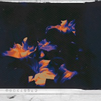 Amapola (feat. Camelia Rap & Zz4evill) - Single - Sl3kend