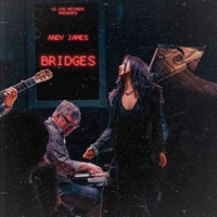 Bridges (feat. Jon Cowherd, Steve Cardenas, Larry Koonse, Eric Wheeler, Johnathan Blake, Dave Binney, Joel Frahm, Bob Sheppard & Michael Dease) - Single - Andy James
