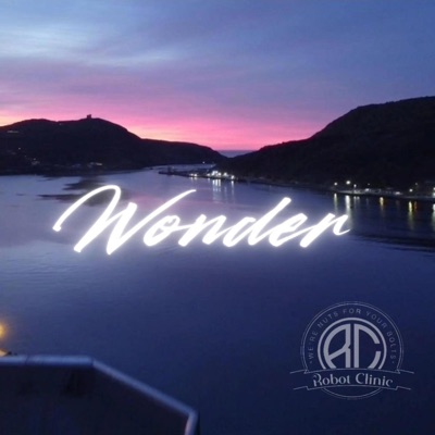 Wonder - Single