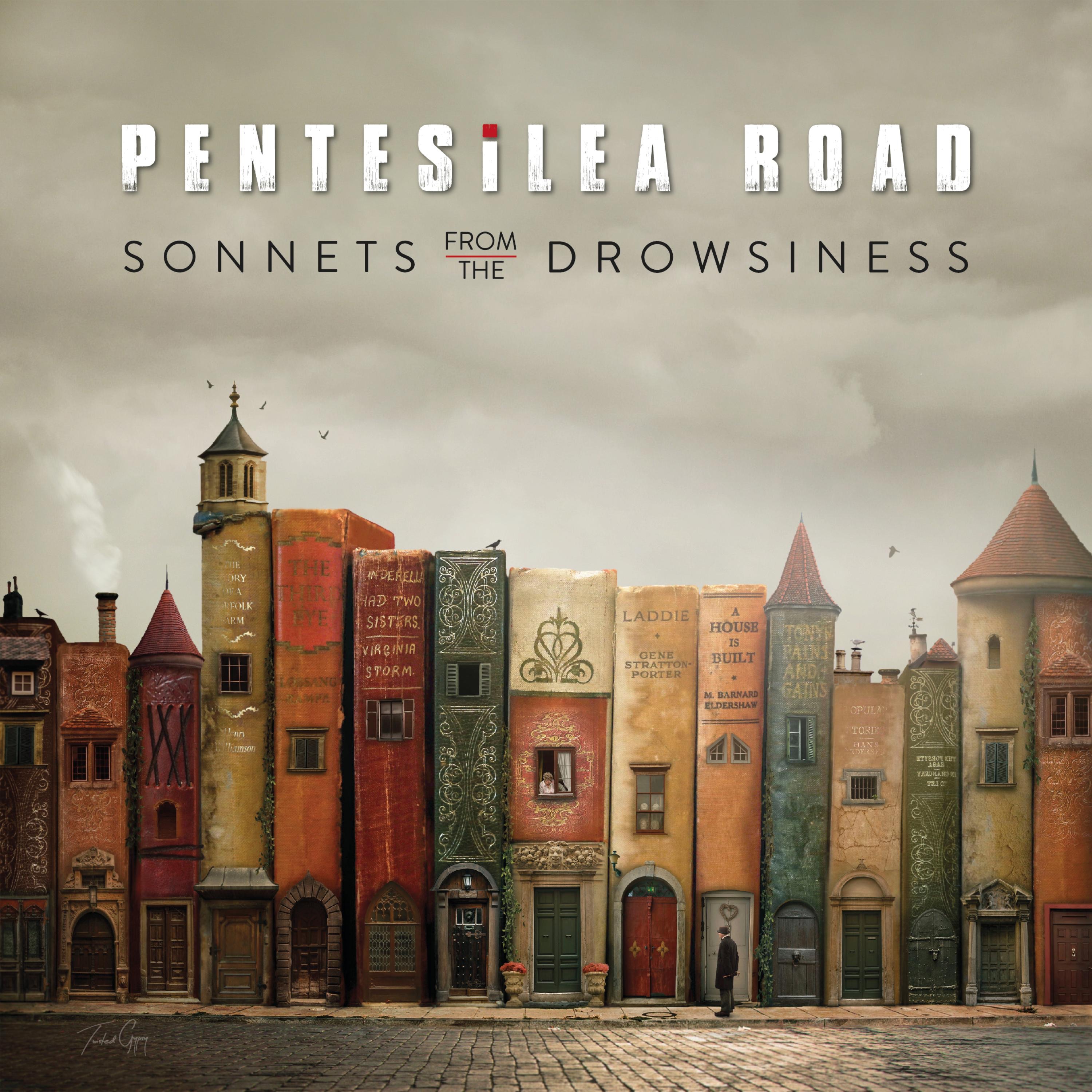 Sonnets from the drowsiness
