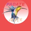 Padate (Padate) - Single