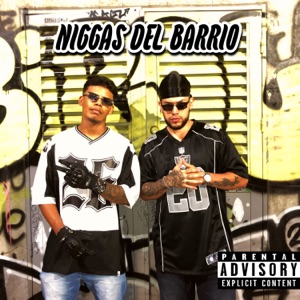 N****s Del Barrio (feat. Yoyo The Producer & Seant)