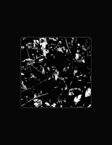 Poslechněte si interpreta District, sledujte hudební videa, přečtěte si životopis, podívejte se na data turné a další informace.