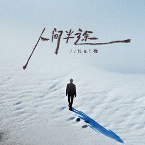 人间半途 (烟嗓DJ何友版) - Single