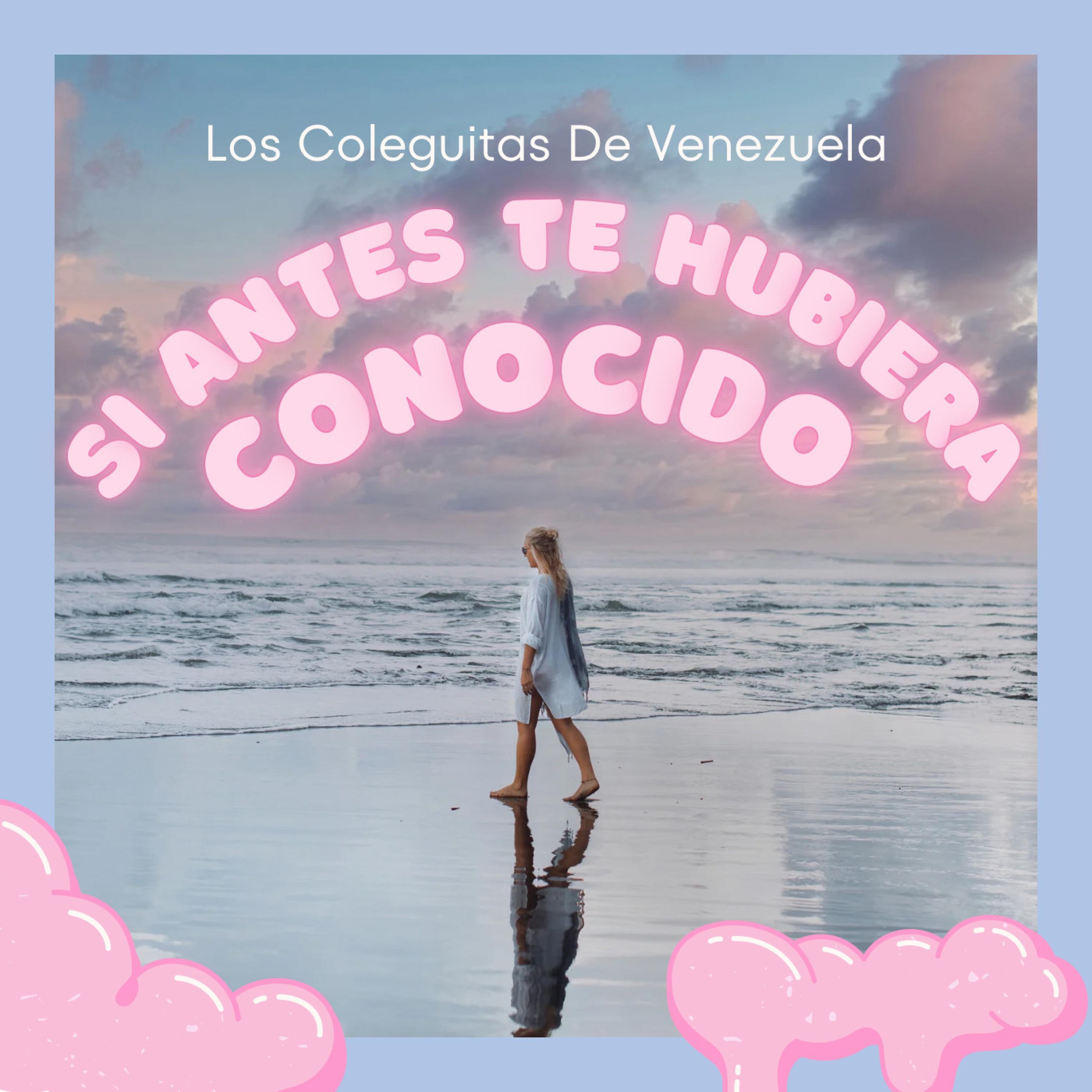 Si Antes Te Hubiera Conocido - Single