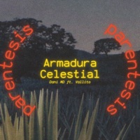 Paréntesis:Armadura Celestial (feat. Vallito) - Single - Dani MD