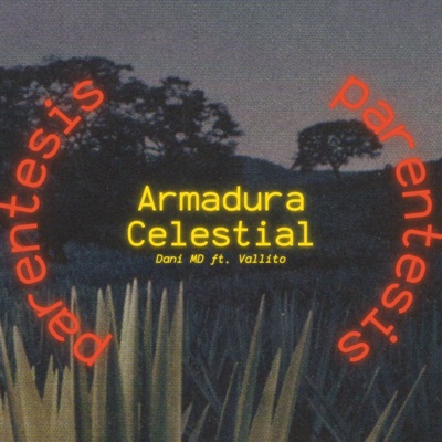 Paréntesis:Armadura Celestial (feat. Vallito) - Single