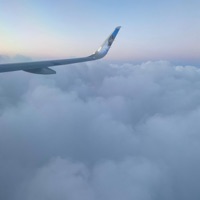 Focus (feat. jalen) - Single - 3t Beats