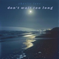 Don't Wait Too Long - Single - Charlie Lane