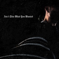 Ain't This What You Wanted - Single - August Wild