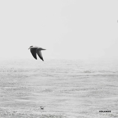 VOLANDO - Single