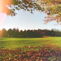 XX (feat. swimcoach & Silvir) - Single - slowsigh