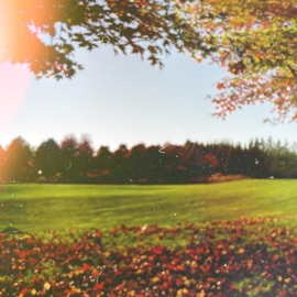 XX (feat. swimcoach & Silvir) slowsigh