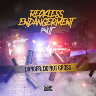 Reckless Endangerment
