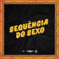 SEQUÊNCIA DO SEXO - Single - DJ WALL