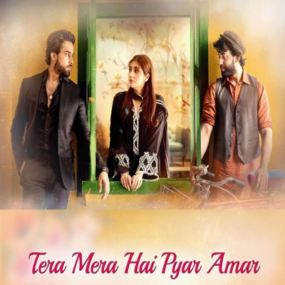 Aamir Naik - Tera Mera Hai Pyar Amar (feat. Ahmed Jahanzeb) [Radio Edit]