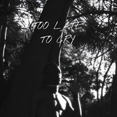 TOO LATE TO CRY