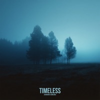 Timeless - Single - Zerareum & Aurolines