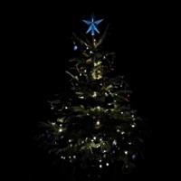 Christmas Trend 2025 - Single - Awada & 8$hots