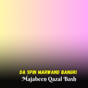Da Spin Marwand Bangri