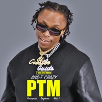 PTM - Single - Ans-T Crazy