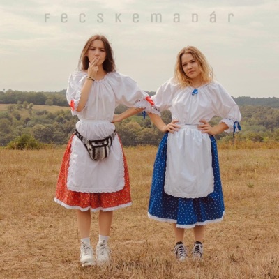 fecskemadár (feat. Æisa) - Single