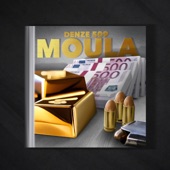 Moula artwork