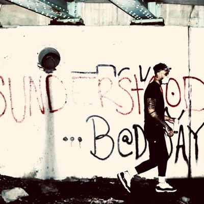 MI$underSTOOD - Single