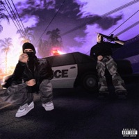 Arcadian Body Bags - Single - $lim Gucci & Saliva Grey