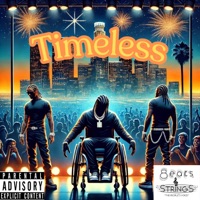 Timeless - Single - D.V.S. 750