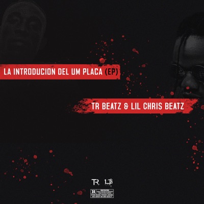 LA INTRODUCION DEL UM PLACA (EP)