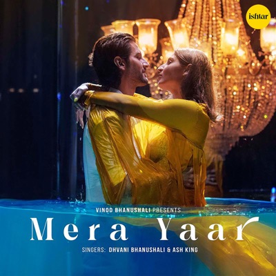Mera Yaar - Single