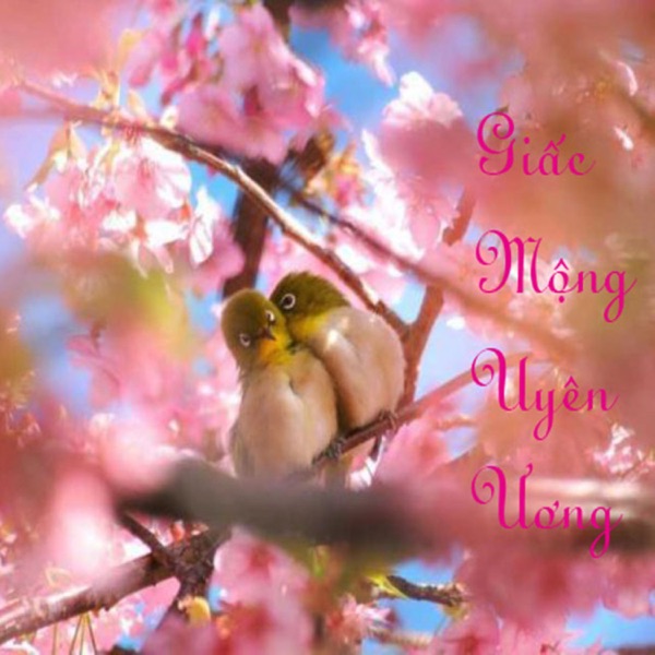Giấc Mộng Uyên Ương - EP