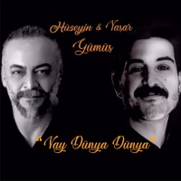 Vay Dünya Dünya (feat. Yaşar Gümüş) - Single - Hüseyin Gümüş