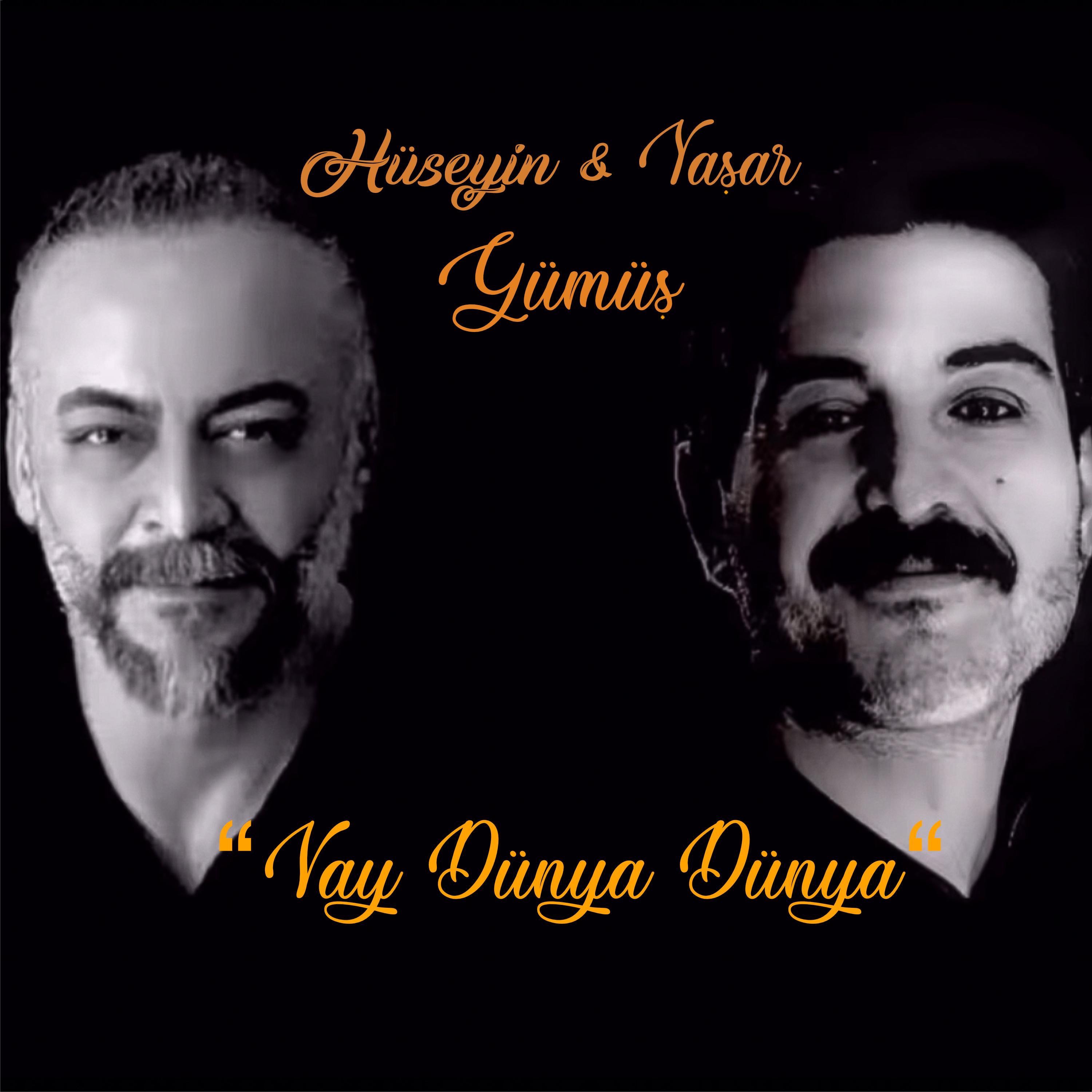 Vay Dünya Dünya (feat. Yaşar Gümüş) - Single