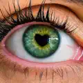 Green Eyes