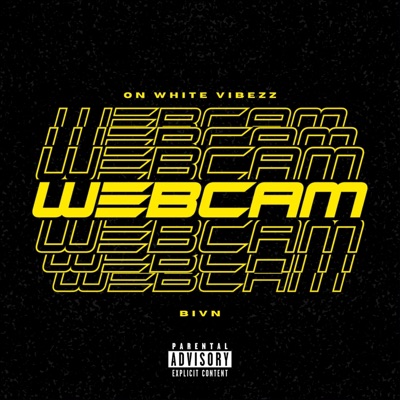 Web Cam - Single