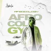AFROCOLOGY (Science of Afrobeats) - Adéola