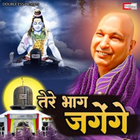 Tere Bhaag Jagenge - Single - Sanjay