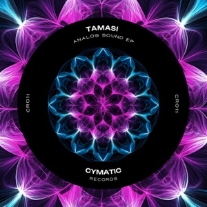 Analog Sound - Single