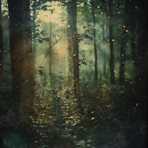 Reveries - Single