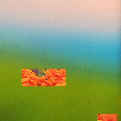 Bloom / Shining - Single