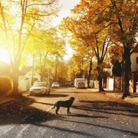 Feliz (feat. Hip-Hop Lofi Chill, Instrumental Beats Collection & Lofi Masters) - Base De Hip Hop