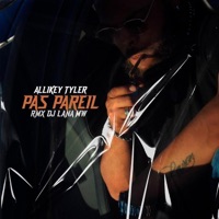 PAS PAREIL RMX (feat. Allikey Tyler) - Single - DJ LANA MW